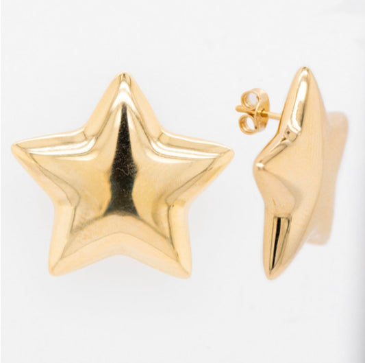 14k Star Earring