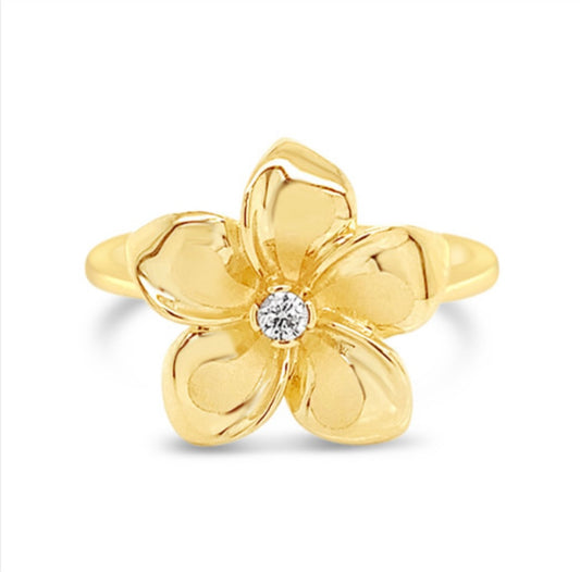 14k Gold Ring